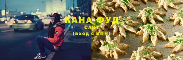 крисы Абаза